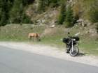 auffahrtkhtaipass_small.jpg