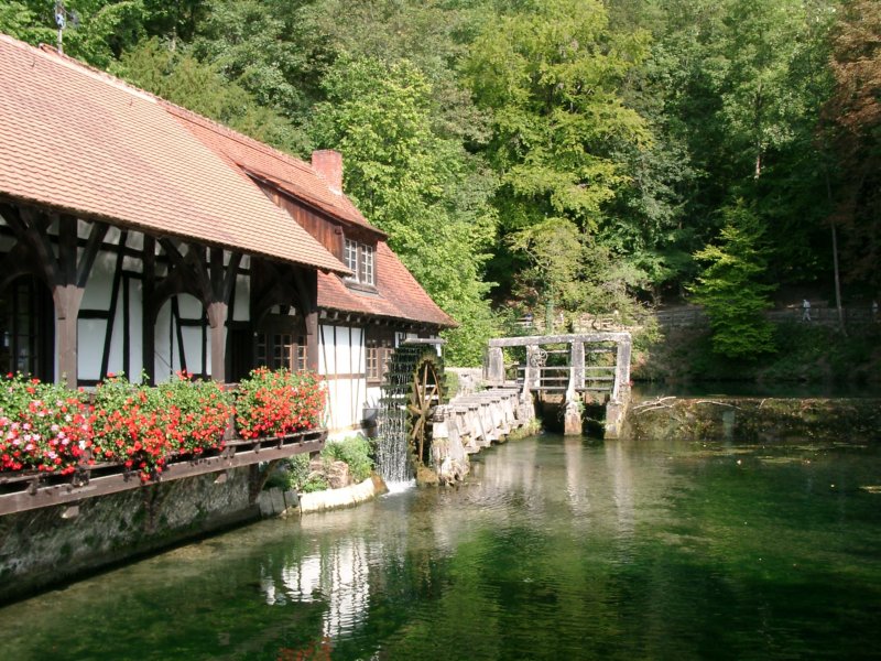 blautopfschwbischealp.jpg