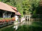 blautopfschwbischealp_small.jpg