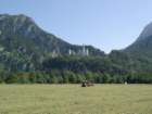 schloneuschwanstein_small.jpg