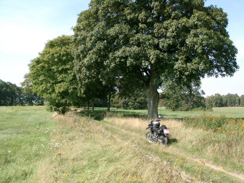 diesesisteineffentlichestrae.jpg