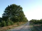mritznationalpark_small.jpg