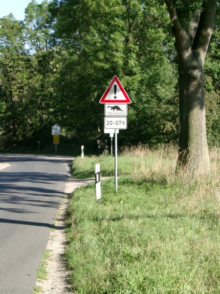 otterwechsel.jpg