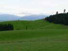 grnehgel_small.jpg