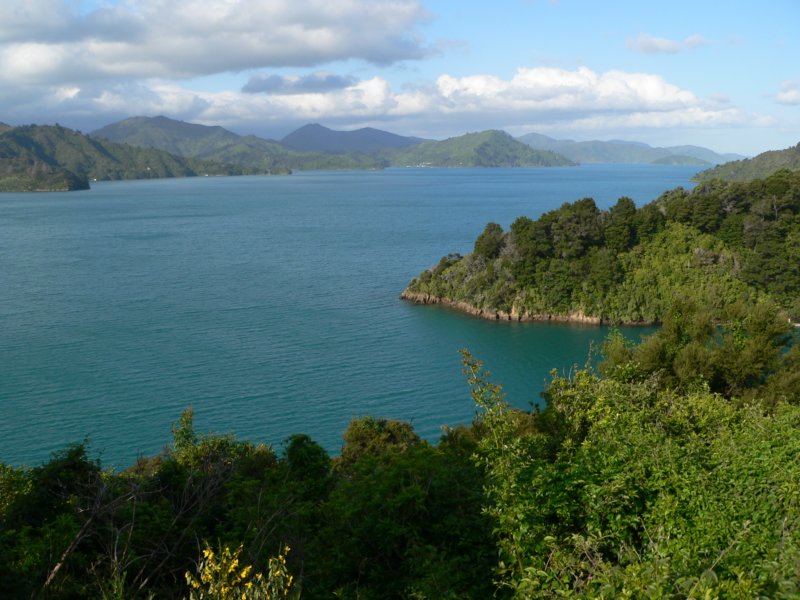 nhepicton.jpg
