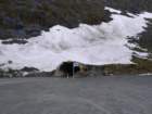 tunnelampassvormilfordsound_small.jpg