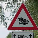 Deutschland_Frosch