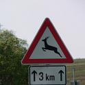 Deutschland_Hirsch